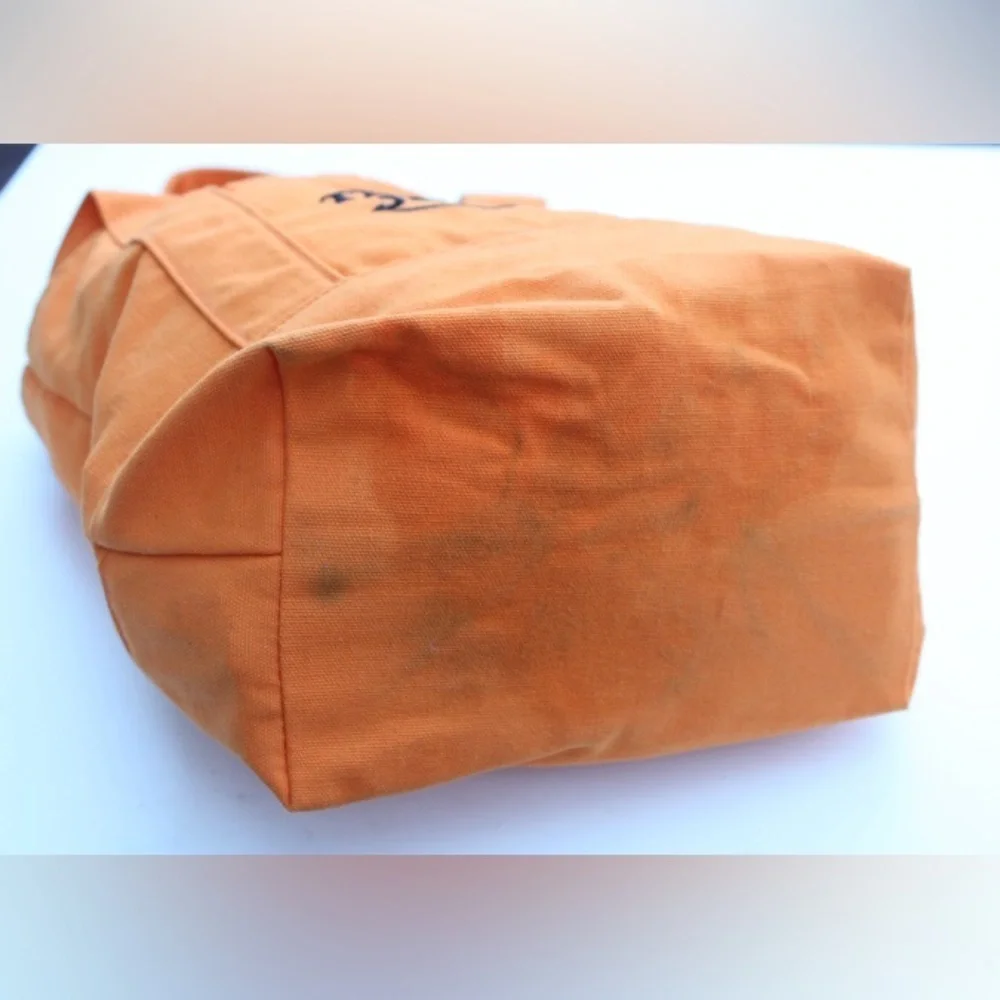 Trader Joe's Halloween mini canvas tote bag